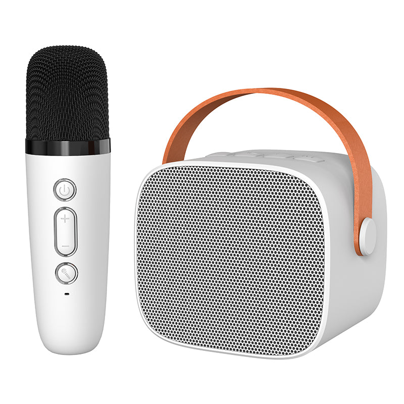 Woegel karaoke set A3 – met bluetooth, TF-kaart en stemvervormer