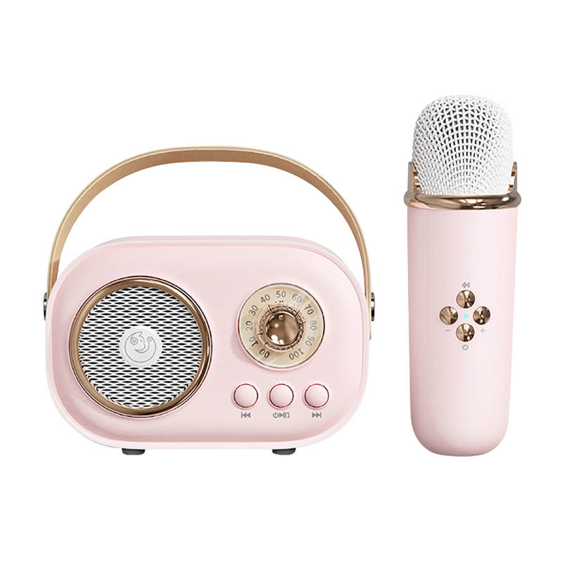 Woegel karaoke set A6 – met bluetooth en TF-kaart – retro roze